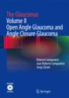 Image for The glaucomasVolume II,: Open angle glaucoma and angle closure glaucoma
