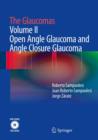Image for The glaucomas.: (Open angle glaucoma and angle closure glaucoma)