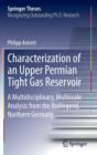 Image for Characterization of an Upper Permian Tight Gas Reservoir