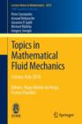 Image for Topics in Mathematical Fluid Mechanics