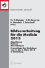 Image for Bildverarbeitung fur die Medizin 2013 : Algorithmen - Systeme - Anwendungen. Proceedings des Workshops vom 3. bis 5. Marz 2013 in Heidelberg