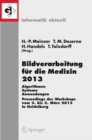 Image for Bildverarbeitung fur die Medizin 2013: Algorithmen - Systeme - Anwendungen. Proceedings des Workshops vom 3. bis 5. Marz 2013 in Heidelberg