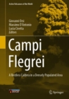 Image for Campi flegrei
