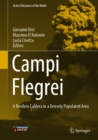 Image for Campi Flegrei: A Restless Caldera in a Densely Populated Area
