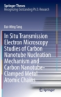 Image for In Situ Transmission Electron Microscopy Studies of Carbon Nanotube Nucleation Mechanism and Carbon Nanotube-Clamped Metal Atomic Chains