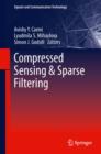 Image for Compressed Sensing &amp; Sparse Filtering
