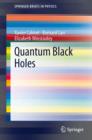 Image for Quantum Black Holes