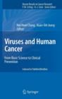 Image for Viruses and Human Cancer : From Basic Science to Clinical Prevention