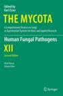 Image for Human Fungal Pathogens