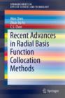 Image for Recent Advances in Radial Basis Function Collocation Methods
