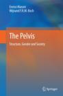 Image for The pelvis  : structure, gender and society
