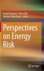 Image for Perspectives on energy risk