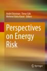Image for Perspectives on energy risk