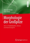 Image for Morphologie der Großpilze : mit 112 Farbbildtafeln, Glossar und Namensregister