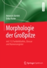 Image for Morphologie Der Gropilze: Mit 112 Farbbildtafeln, Glossar Und Namensregister
