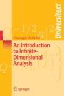 Image for An Introduction to Infinite-Dimensional Analysis