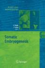 Image for Somatic Embryogenesis