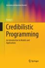 Image for Credibilistic Programming : An Introduction to Models and Applications