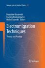 Image for Electromigration Techniques : Theory and Practice
