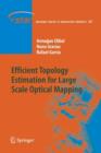 Image for Efficient Topology Estimation for Large Scale Optical Mapping