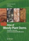 Image for Atlas of woody plant stems  : evolution, structure, and environmental modifications