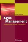 Image for Agile Management : Leadership in an Agile Environment