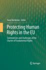 Image for Protecting Human Rights in the EU : Controversies and Challenges of the Charter of Fundamental Rights