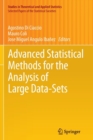Image for Advanced statistical methods for the analysis of large data-sets