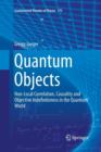 Image for Quantum Objects : Non-Local Correlation, Causality and Objective Indefiniteness in the Quantum World