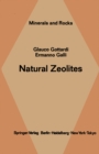 Image for Natural Zeolites