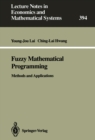 Image for Fuzzy Mathematical Programming: Methods and Applications