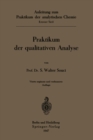 Image for Praktikum Der Qualitativen Analyse