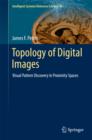 Image for Topology of digital images: visual pattern discovery in proximity spaces