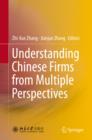Image for Understanding Chinese firms from multiple perspectives