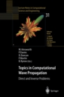 Image for Topics in Computational Wave Propagation: Direct and Inverse Problems : 31