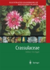 Image for Illustrated Handbook of Succulent Plants: Crassulaceae