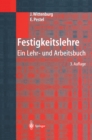 Image for Festigkeitslehre: Ein Lehr- und Arbeitsbuch