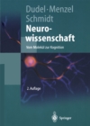Image for Neurowissenschaft: Vom Molekul Zur Kognition