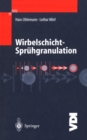 Image for Wirbelschicht-spruhgranulation