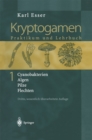 Image for Kryptogamen 1: Cyanobakterien Algen Pilze Flechten Praktikum Und Lehrbuch