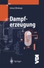 Image for Dampferzeugung
