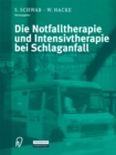 Image for Die Notfalltherapie und Intensivtherapie bei Schlaganfall