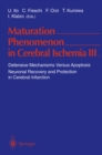 Image for Maturation Phenomenon in Cerebral Ischemia III: Defensive Mechanisms Versus Apoptosis Neuronal Recovery and Protection in Cerebral Infarction