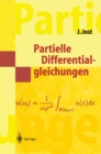 Image for Partielle Differentialgleichungen: Elliptische (und parabolische) Gleichungen