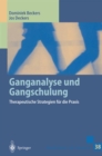 Image for Ganganalyse Und Gangschulung: Therapeutische Strategien Fur Die Praxis : 38
