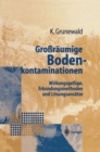 Image for Groraumige Bodenkontaminationen: Wirkungsgefuge, Erkundungsmethoden und Losungsansatze