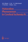 Image for Maturation Phenomenon in Cerebral Ischemia IV: Apoptosis and/or Necrosis, Neuronal Recovery vs. Death, and Protection Against Infarction