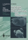Image for Atlas of Marine Zooplankton Straits of Magellan: Amphipods, Euphausiids, Mysids, Ostracods, and Chaetognaths