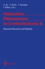 Image for Maturation Phenomenon in Cerebral Ischemia II: Neuronal Recovery and Plasticity