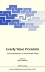 Image for Gravity Wave Processes: Their Parameterization in Global Climate Models